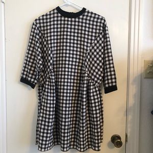 NWT Zara gingham dress with back zipper. Size S.